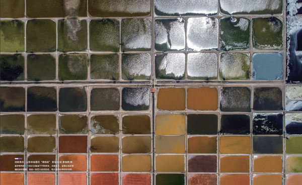 1619335600232012178.png 星罗棋布的盐田构成山东半岛的夏日“调色板”.png