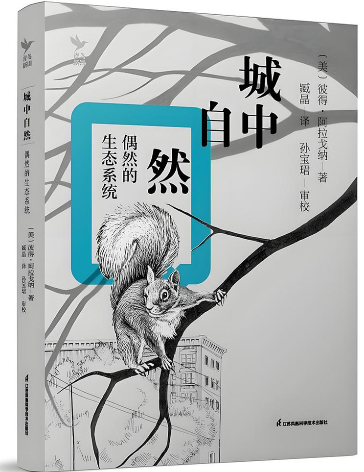 3《城中自然：偶然的生态系统》.jpg
