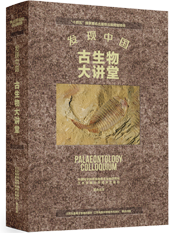 发现中国——古生物大讲堂.png